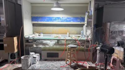 pickleball paddle manufacturer painting processing 